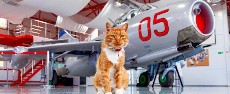 https://t.me/aviaoreshkovo/474 Евгения Лебедева