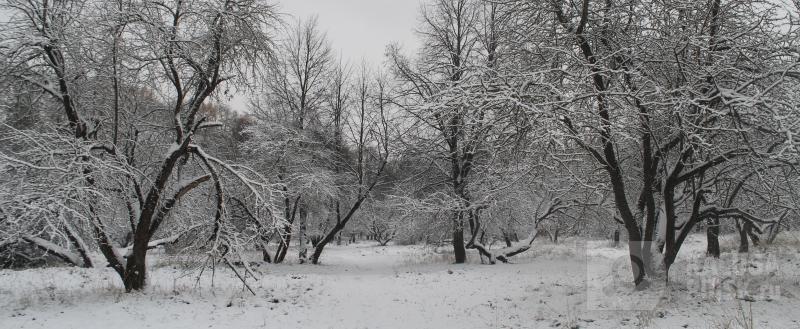 Фото: Kaluga-poisk.ru