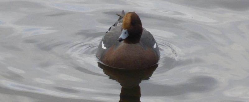 Юрий Галченков