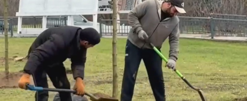 Дмитрия Денисова