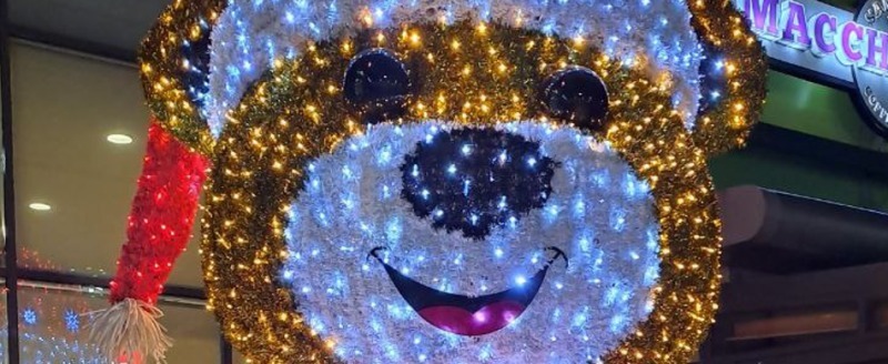 Калуга-поиск