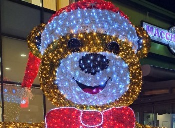 Чудо-деревья, мишки и зайки: в Калуге ищут подрядчика для новогодних украшений