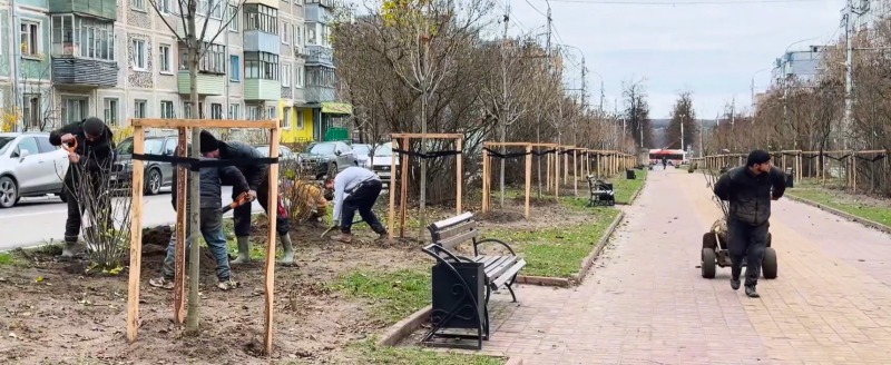 Дмитрия Денисова 