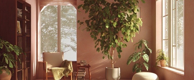 7 неприхотливых растений для дома, которые вы точно полюбите