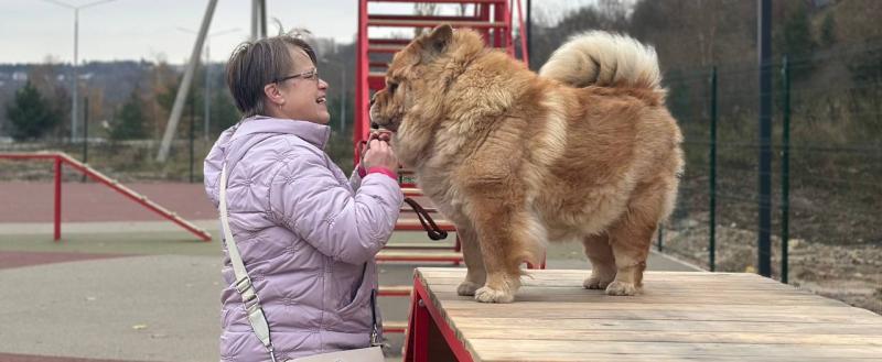 Дмитрия Денисова