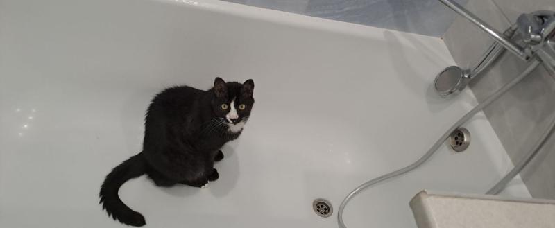 Фото: Kaluga-poisk.ru