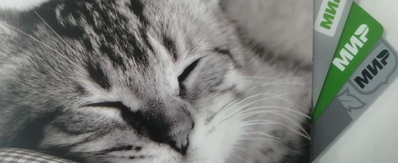 Фото: Kaluga-poisk.ru