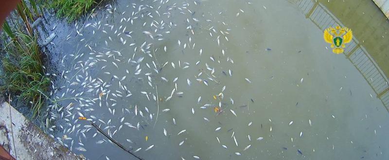 прокуратуры Калужской области