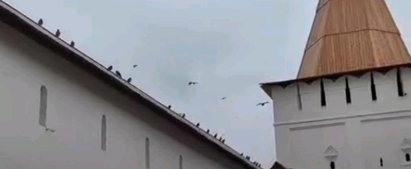 Скриншот с видео, Правительство Калужской области 