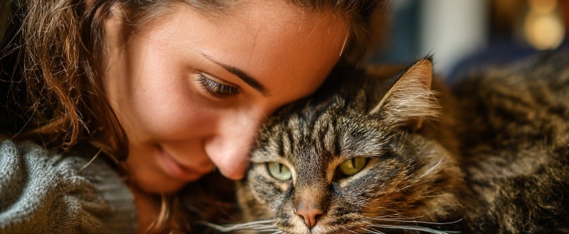 Тайны любви к домашним животным