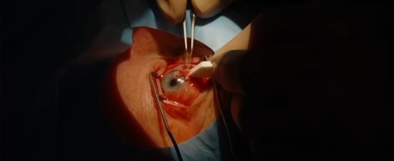 Владислав Шапша 