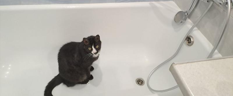 Калуга-поиск