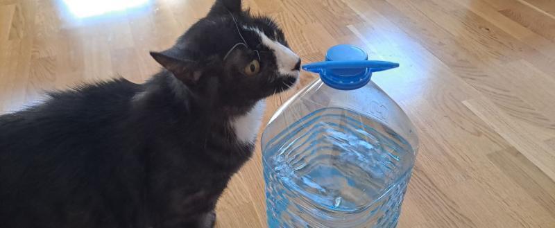 Калуга-поиск