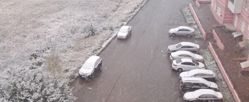 Калуга-поиск