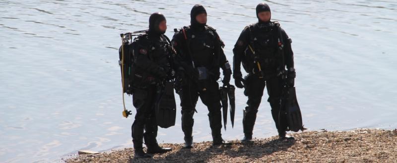 Калуга-поиск