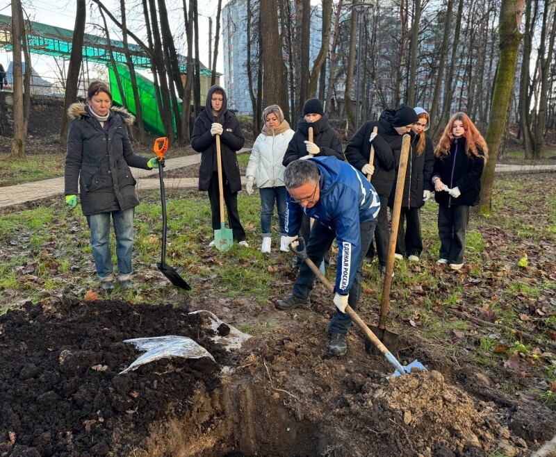 Дмитрия Денисова 