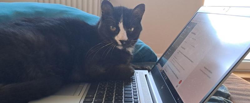 Калуга-поиск