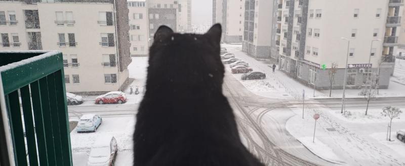 Фото: Kaluga-poisk.ru