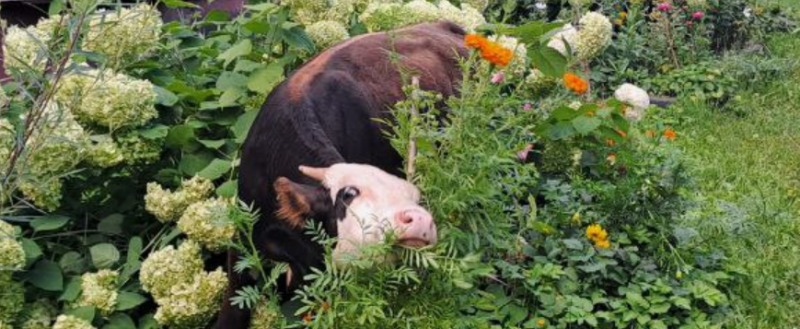 Калуга-поиск