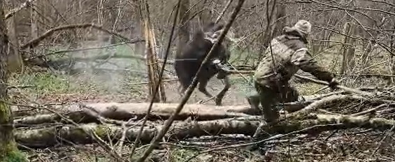 из Tg-канала 