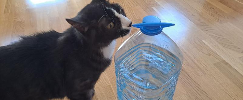 Калуга-поиск