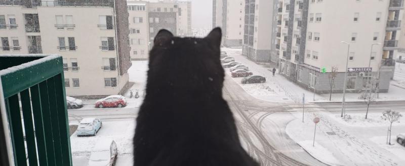 Фото: Kaluga-poisk.ru