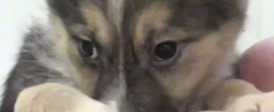 Скриншот с видео, Телерадиокомпания 