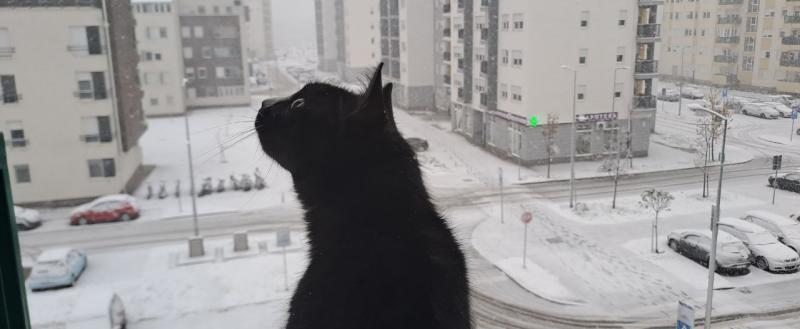 Фото: Kaluga-poisk.ru