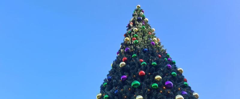 Фото: Kaluga-poisk.ru