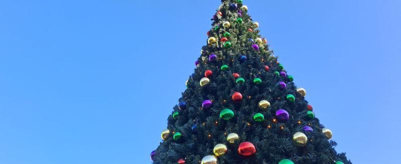 Фото: Kaluga-poisk.ru