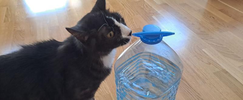 Калуга-поиск