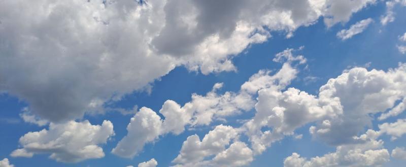 Калуга-поиск