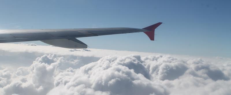 Калуга-поиск