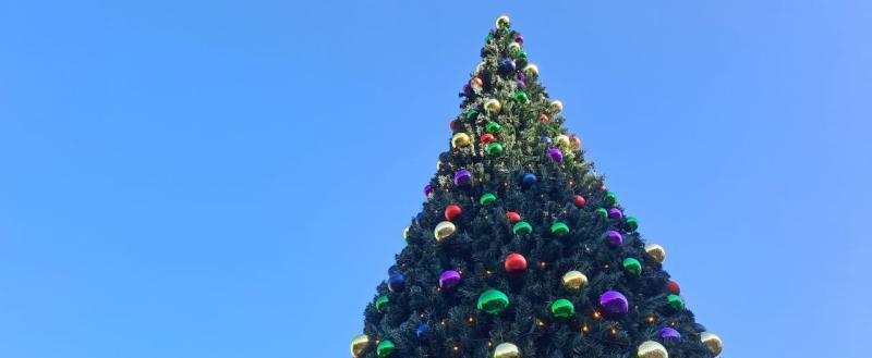 Фото: Kaluga-poisk.ru