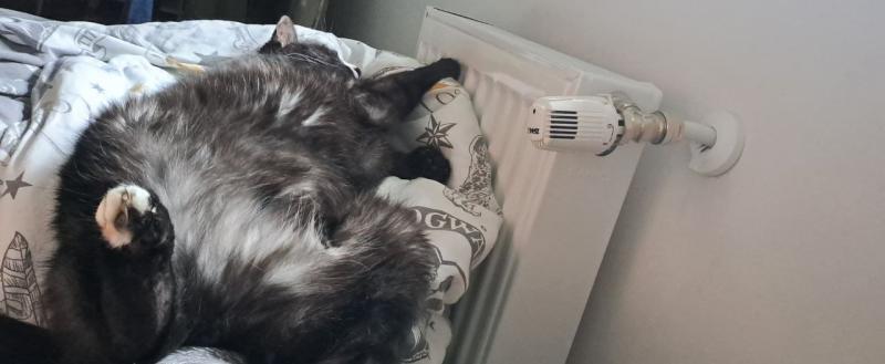 Калуга-поиск