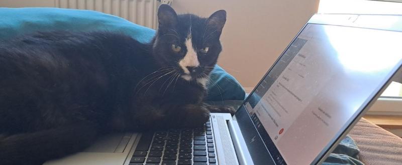 Калуга-поиск