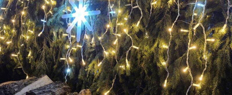 Калуга-поиск