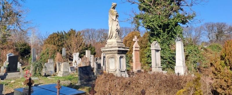 Калуга-поиск