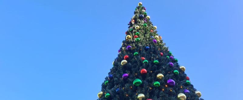 Калуга-поиск