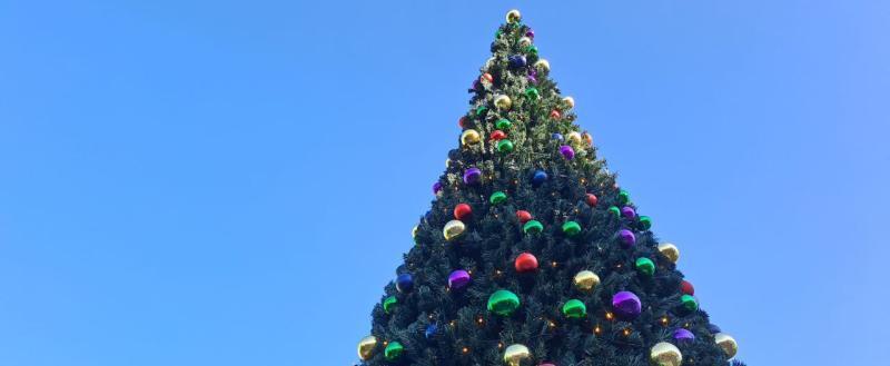 Калуга-поиск