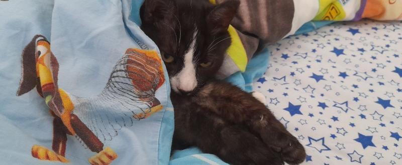 Калуга-поиск