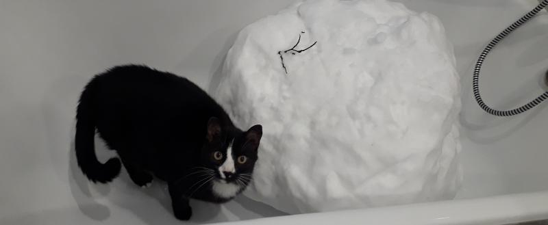 Калуга-поиск