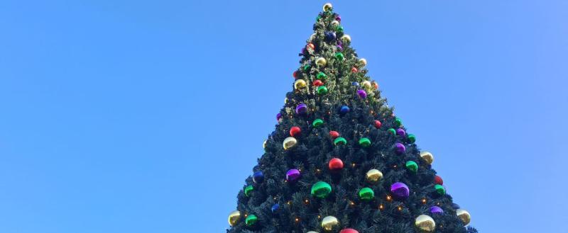 Калуга-поиск