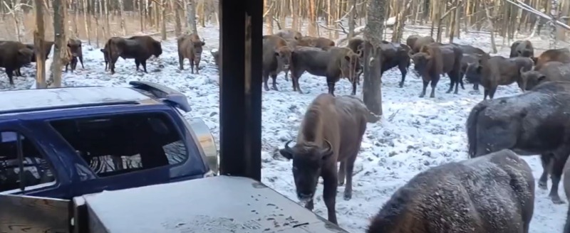 Заповедник 