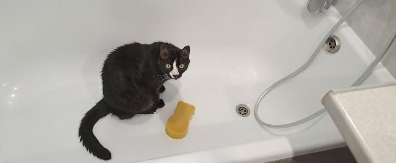 Фото: Kaluga-poisk.ru