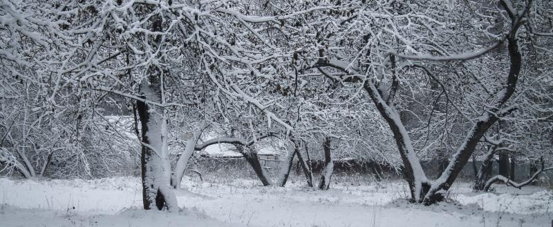 Фото: Kaluga-poisk.ru