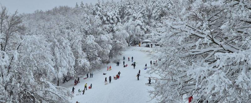 Калуга-поиск