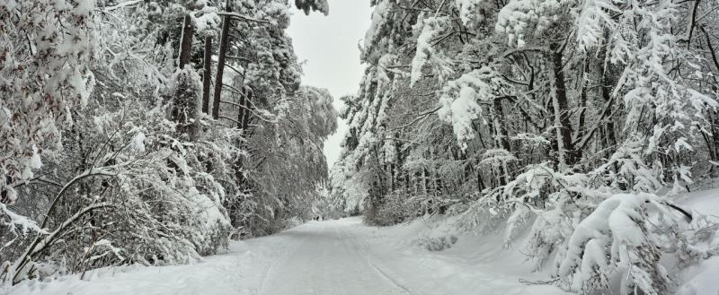 Калуга-поиск