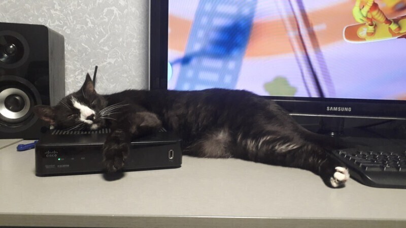 В Калуге временно отключат телевидение и радио