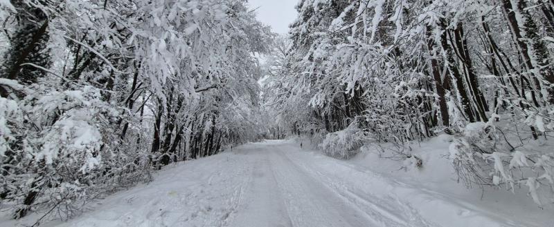Фото: Kaluga-poisk.ru